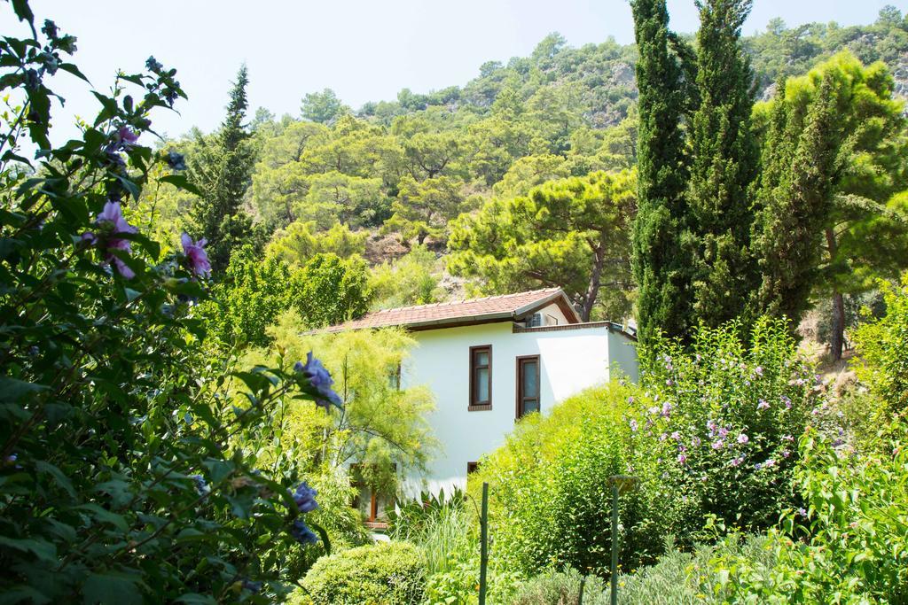 Dostlar Pension Tekirova Rom bilde
